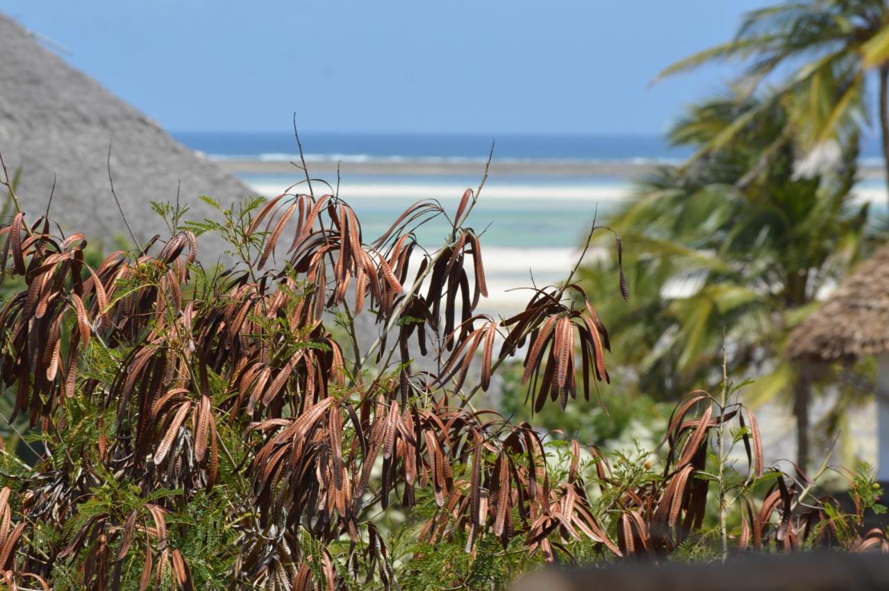 Pole Pole Beach House Watamu Dış mekan fotoğraf